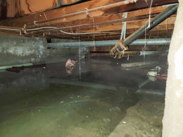  Jamaica Beach, TX Water damage restoration Pros