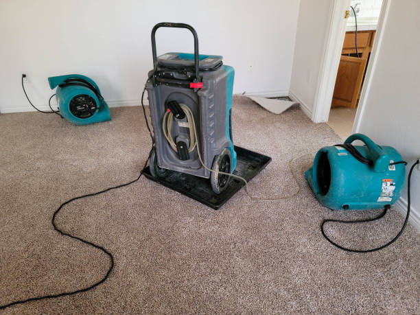 Best Commercial water damage restoration  in Jamaica Beach, TX