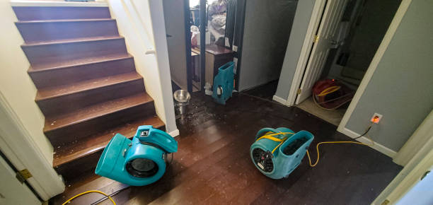 Best Flood damage cleanup  in Jamaica Beach, TX